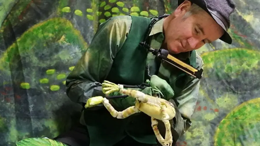 Des Dillon Puppet Show