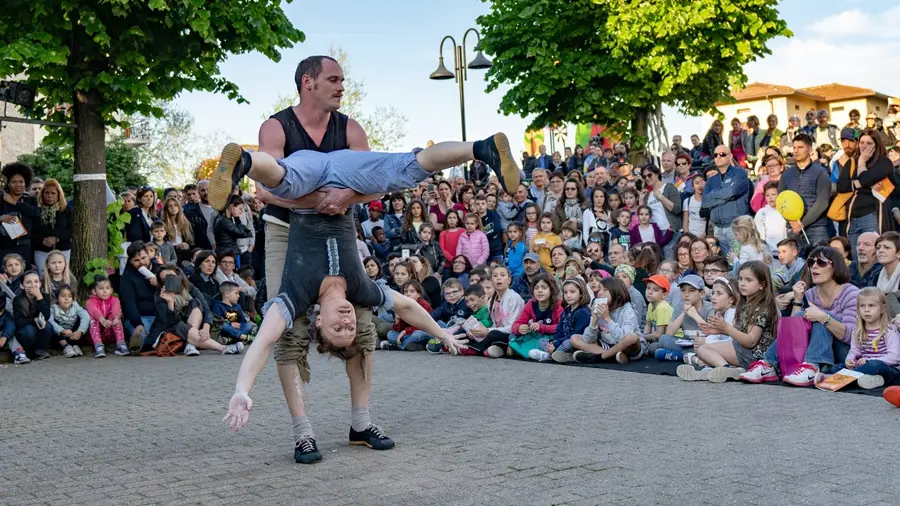 Double Bill: Cikada Circus and Lacunavicci